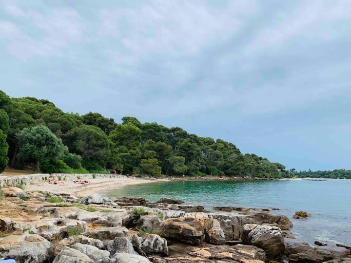 Feel The City Atmosphere Rovinj Bagian luar foto
