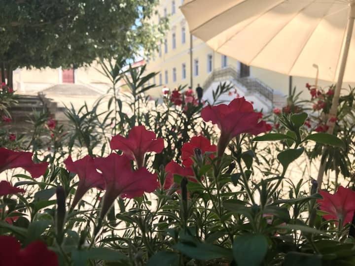 Feel The City Atmosphere Rovinj Bagian luar foto