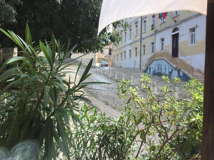 Feel The City Atmosphere Rovinj Bagian luar foto